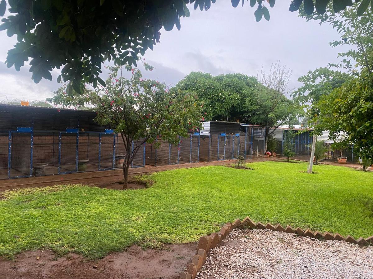 El-Kole Bed And Breakfast Tsumeb Exterior photo